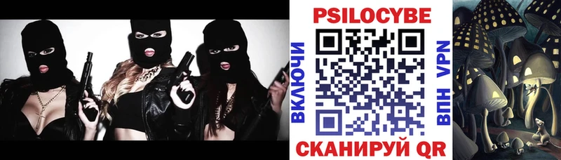 Купить где  Мурино  Псилоцибиновые грибы Magic Shrooms 